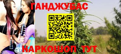 крисы Малгобек