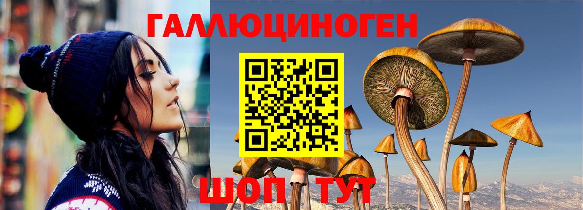 Псилоцибиновые грибы Psilocybe Ишимбай